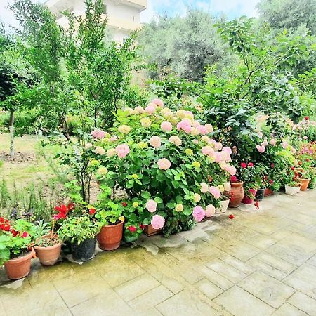 Apartament Me Qera Dublex Lungomare Vlorë Buitenkant foto